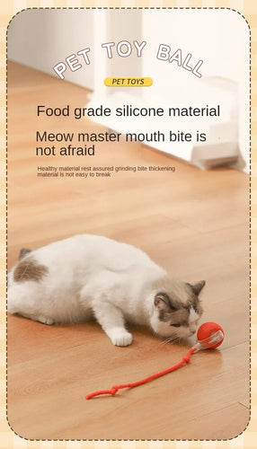 New Cat Interactive Ball Toy Automatic Rolling Ball Faux Tail Rechargeable Smart Pet Electric Toy Dog Cat Training Imitate Mouse