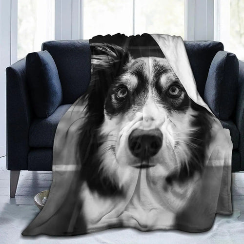 Australian Shepherd Dog Face Blanket Black White Print Soft Fleece Throw Pet Lover Gift Home Decor Cozy Bedding Accessory