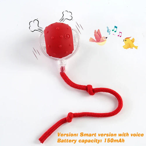 New Cat Interactive Ball Toy,Automatic Rolling Cat Ball Rechargeable,Smart Kitten Interactive Toy,Intelligent Balls Toy for Cat