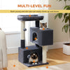 PAWZ Road Large Multi-Level Cat Tree with Condo and Hammock