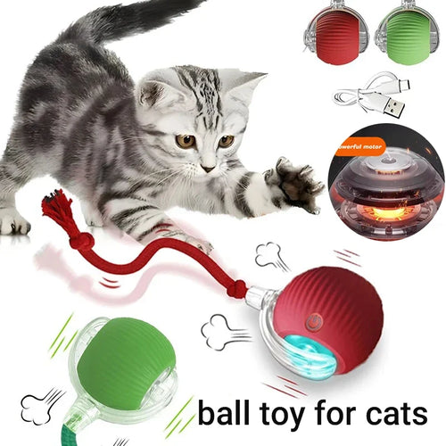 New Cat Interactive Ball Toy,Automatic Rolling Cat Ball Rechargeable,Smart Kitten Interactive Toy,Intelligent Balls Toy for Cat