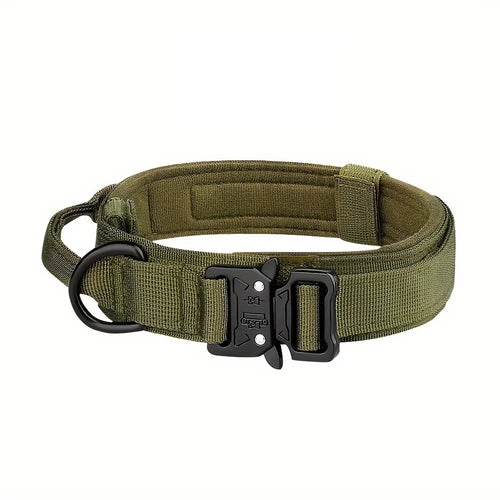 Tactical Dog Collar with Control Handle — 1000D Nylon, Double Closure & D-Ring | Collar Only or Collar & Leash Set | M–XL