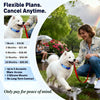 WanwayTech GP30 4G LTE Pet GPS Tracker - IP67 Waterproof