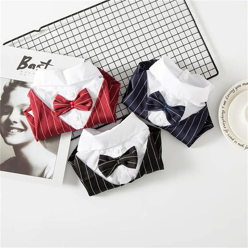 English Style Gentleman Dog Dress Puppy Suit with Tie for Formal Occasions Four Seasons Wedding Pet Photo Teddy Clothes
