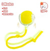 Interactive Cat Toy Ball – Super Drive Rolling Toy