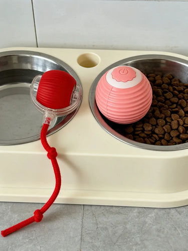 Pet Toy Ball with Tail Rope，Smart Automatic Pet Chase Ball Toy, Upgraded Speedy Tail Kitten Toy for Bored Indoor Adult Pets