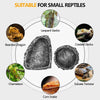 Reptile Feeding Water Bowl Realistic Stone Texture Safe Durable for Bearded Dragons Small Reptiles SYXZS03