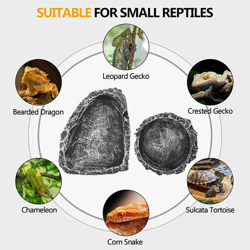 Reptile Feeding Water Bowl Realistic Stone Texture Safe Durable for Bearded Dragons Small Reptiles SYXZS03