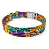 Rainbow Safari Dog Collar