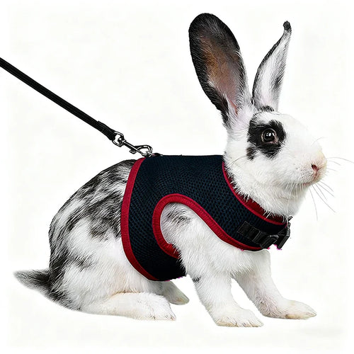 Solid Adjustable Pet Harness and Leash for Rabbit Bunny Cat Ferrets Outdoor Walking Pets Supplies lapin accessoires pour animaux