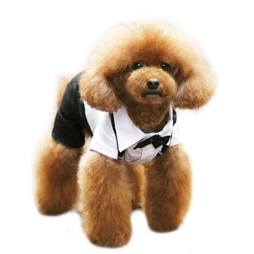 English Style Gentleman Dog Dress Puppy Suit with Tie for Formal Occasions Four Seasons Wedding Pet Photo Teddy Clothes