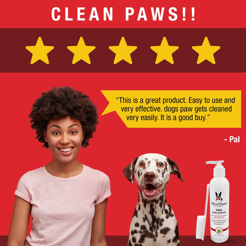 Paw Sani-Scrub - Gallon - Paw and Nail Cleanser