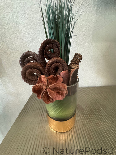 Palm Tail Spring