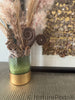Palm Tail Spring