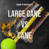 Large Ostrich Cane (11.5 x 5): The Ultimate Long-Lasting Chew for Medium, Large & XL Dogs