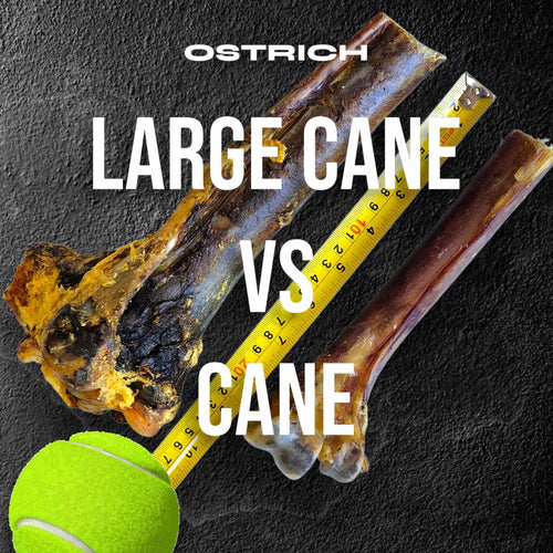 Large Ostrich Cane (11.5 x 5): The Ultimate Long-Lasting Chew for Medium, Large & XL Dogs