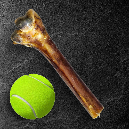Medium Ostrich Cane (10 x 3): The Long-Lasting, Flavor-Packed Chew for Medium & Large Dogs