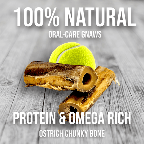 Ostrich Chunky Bones (4 x 2 - 2 Pack): The Long-Lasting, Flavor-Packed Bones for Small to Medium Dogs