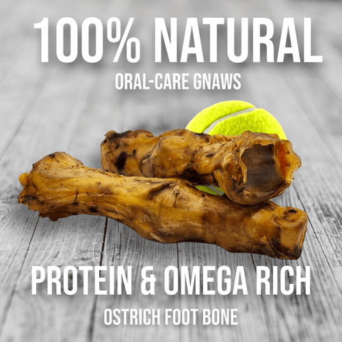 Ostrich Foot Bone (7 x 3.5): The Flavorful & Long-Lasting Chew for Medium to Large Dogs