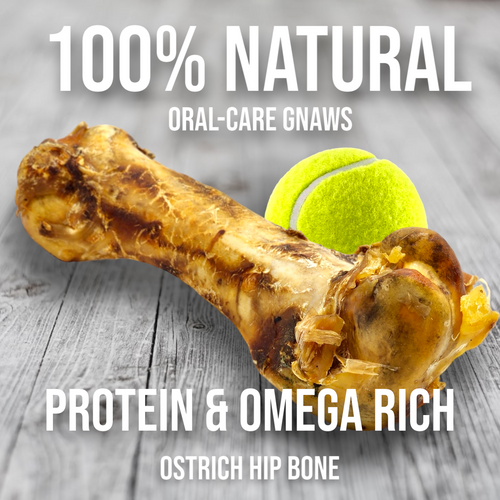 Ostrich Hip Bone (12 x 5x 3”): The Durable, Flavor-Packed Chew for Medium & Large Dogs