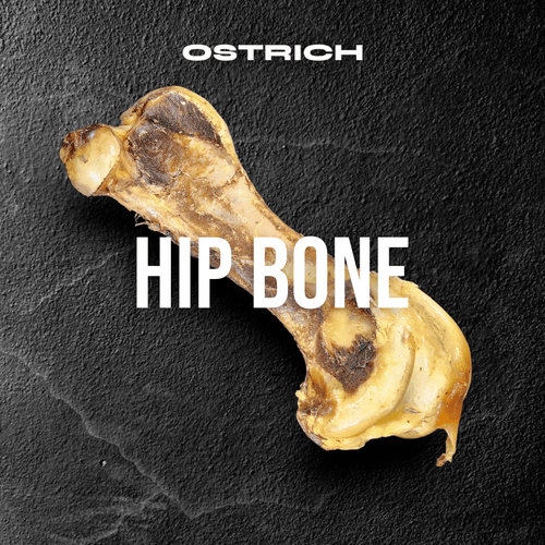 Ostrich Hip Bone (12 x 5x 3”): The Durable, Flavor-Packed Chew for Medium & Large Dogs