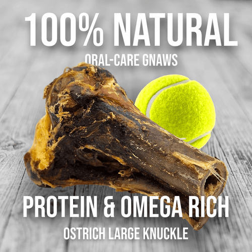 Large Ostrich Knuckle (5.5 x 5): The Ultimate Chew for Moderate & Power Chewers