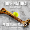 Ostrich Long Bone (19 x 3.5): The Ultimate Challenge for Medium, Large & Extra-Large Dogs