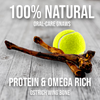 Ostrich Wing Bone (13 x 1.5): The Ultimate Long-Lasting Chew for Small Dogs & Light Chewers