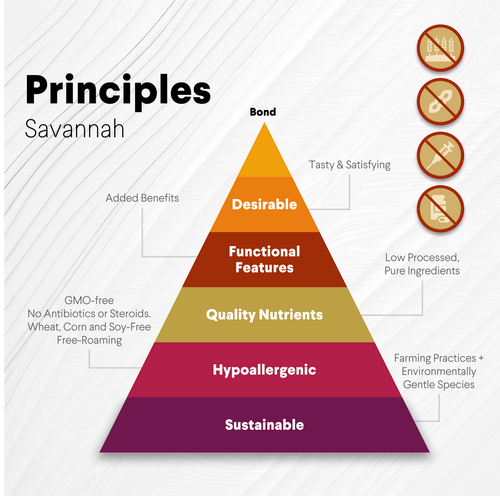 Medium Ostrich Cane (10 x 3): The Long-Lasting, Flavor-Packed Chew for Medium & Large Dogs