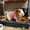 Guinea Pig Clothes Striped Small Pets T-shirt Soft Breathable Elastic Shirt for 5.9-inch Hamster Chinchilla Anti-shedding Outfit