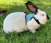 Solid Adjustable Pet Harness and Leash for Rabbit Bunny Cat Ferrets Outdoor Walking Pets Supplies lapin accessoires pour animaux