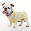 Dog Shirts Cotton Striped Puppy Sleeveless T-Shirts Spring Autumn Clothes for Small Dogs, Soft Breathable Stretchable Doggy Tee
