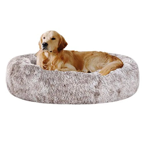 Premium Orthopedic Memory Foam Dog Bed - Charcoal (Medium) (LP)