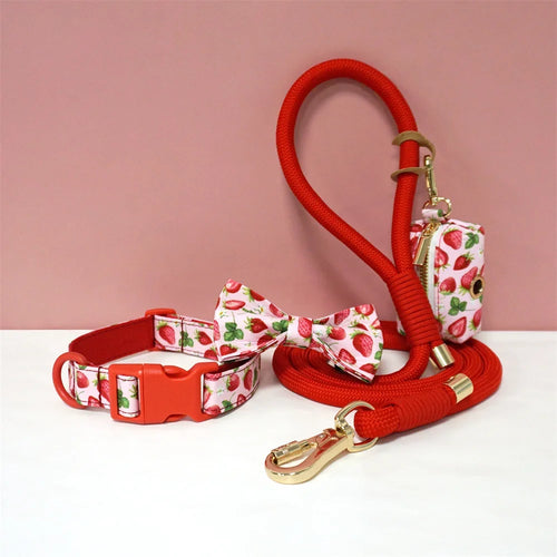Luxury Bow Dog Collar Set | Cotton & Polyester | XS–XL | With Leash & Poop Bag