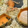 Reptile Worm Water Bowl Resin Rock Dish Plate Terrarium Tank Turtle Food Bowls for Lizard Snake Frog Scorpion Hamster Feeder