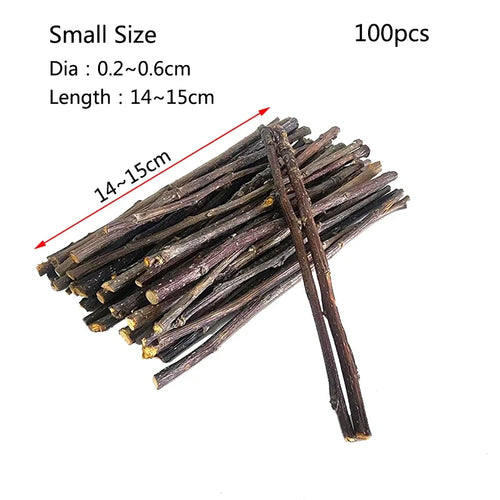20/40/80/100pcs Hamster Rabbit Teeth Grinding Apple Tree Stick Minerals Molar Stone Toys for Chinchilla Hamster Pet accessories