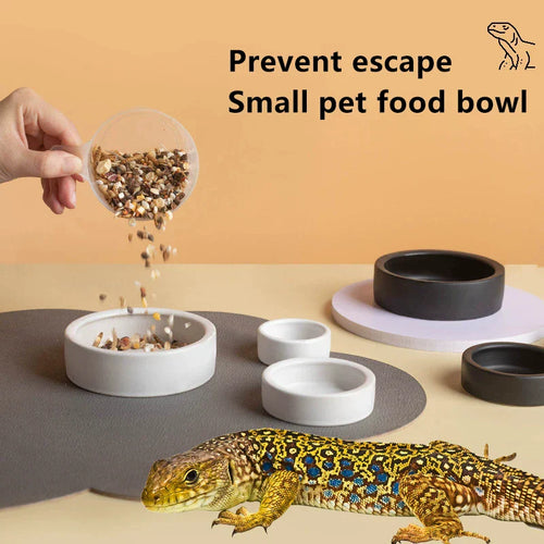 Reptile Food Ceramic Bowl Anti-Escape Ceramic Feeder Dish Reptile Water Bowl For Hermit Crab Gecko Chameleon Corn Snake