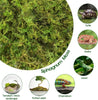 14OZ Natural Sphagnum Moss for Reptiles, Terrarium Bedding & Substrate for Snakes, Gecko, Frogs (50QT)
