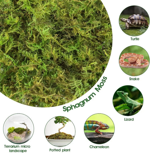 14OZ Natural Sphagnum Moss for Reptiles, Terrarium Bedding & Substrate for Snakes, Gecko, Frogs (50QT)