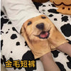 Golden Retriever Shorts Men's Beach Shorts Funny Printed Breathable Home Wear Outdoor Fashion Couple Dog Head Shorts Trendy