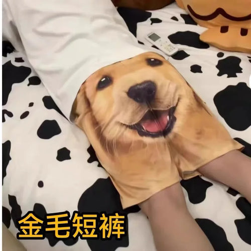 Golden Retriever Shorts Men's Beach Shorts Funny Printed Breathable Home Wear Outdoor Fashion Couple Dog Head Shorts Trendy