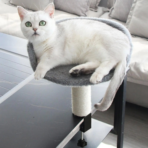 Cat Desk Bed 360 Rotating Hammock for Cat Desk Clamp Kitten Bed for Kittens Pets Animals Indoor Home Apartment Living Room