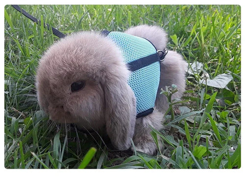 Harness with Leash Set for Rabbits Breathable Pet Vest for Rabbit Ferrets Guinea Pig Squirrel Adjustable Soft Small Pet Harness