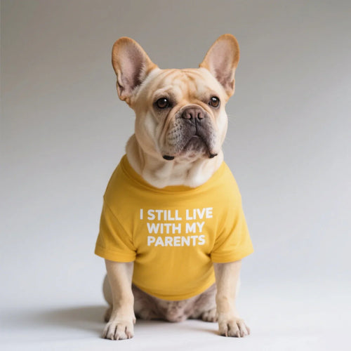 French Bulldog Dog Shirts Cotton Letters T-Shirt, Summer Clothes for Small Dogs, Soft Puppy Apparel Cat Tee, Breathable Stretchy