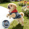 Designer Denim Dog Hoodie Jacket