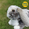 Realistic Lop Ear Rabbit Plush Toy, Lop Rabbit Plushie, Lifelike White Brown Bunny Stuffed Animal, Holland Lop Simulation Doll