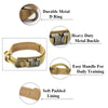 Tactical Dog Collar with Control Handle — 1000D Nylon, Double Closure & D-Ring | Collar Only or Collar & Leash Set | M–XL