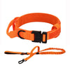 Tactical Dog Collar with Control Handle — 1000D Nylon, Double Closure & D-Ring | Collar Only or Collar & Leash Set | M–XL