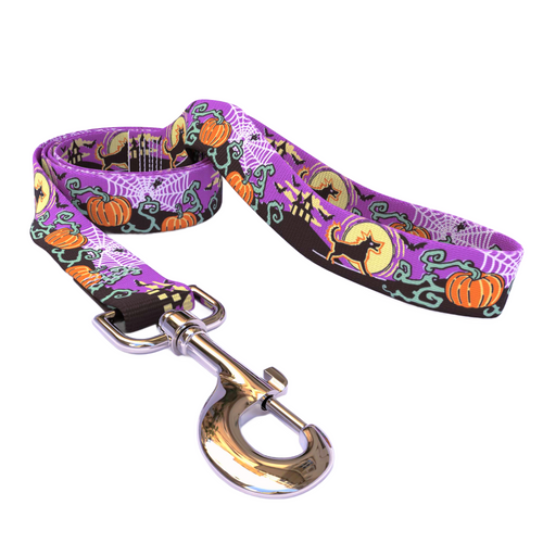 Scary Night Dog Leash