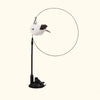 Simulation Feather Bird Interactive Cat Toys Funny Bird with Bell Cat Stick Toy for Kitten Playing Teaser Wand Toys Cat Supplies